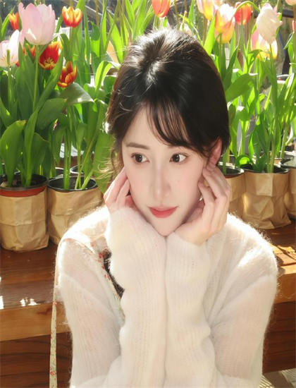 《追梦小海豚》适合什么人观看？目标观众群体重构分析